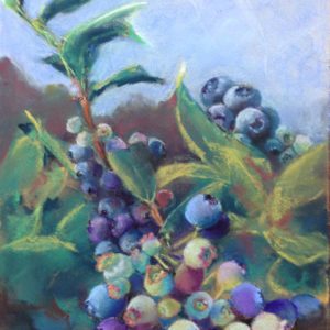 Blueberries painted in pastel