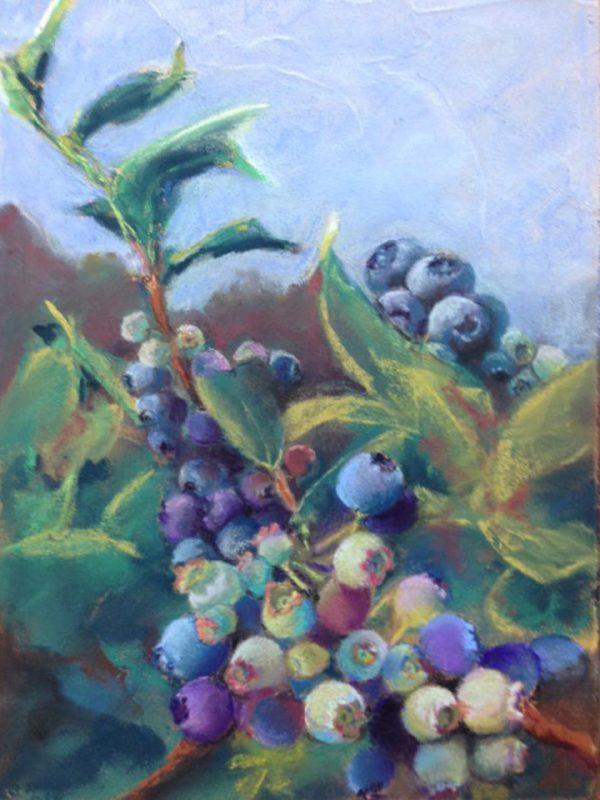 Blueberries painted in pastel