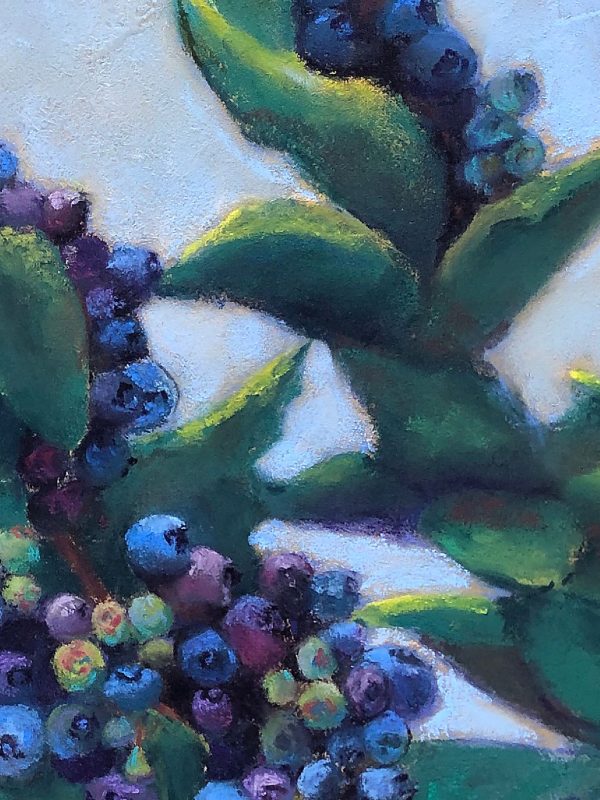 Pastel painting of ripening blueberries