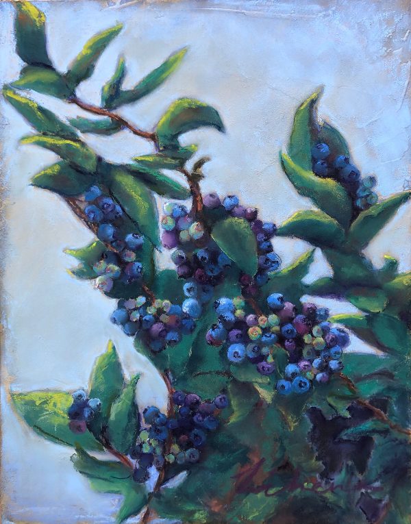 Pastel painting of ripening blueberries